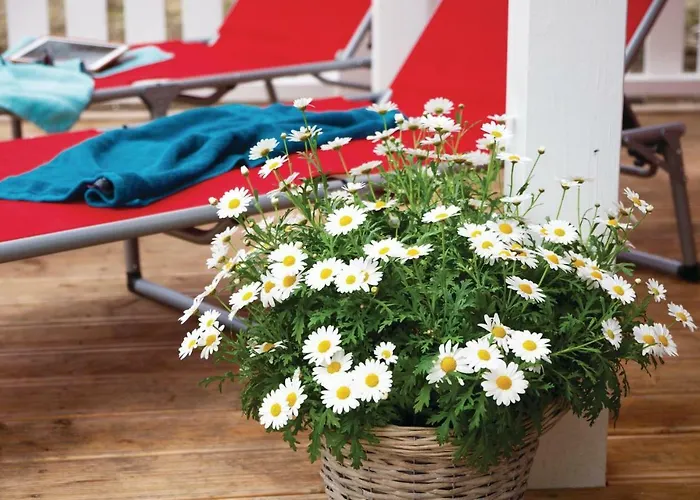 Seehund 5 Semesterbostad Süssau